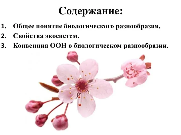 Содержание: Общее понятие биологического разнообразия. Свойства экосистем. Конвенция ООН о биологическом разнообразии.