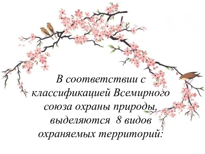 В соответствии с классификацией Всемирного союза охраны природы, выделяются 8 видов охраняемых территорий: