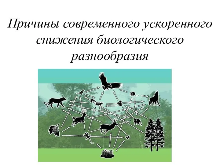 Причины современного ускоренного снижения биологического разнообразия