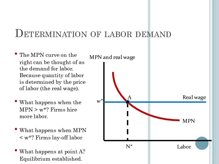 Determination of labor demand w* N* MPN and real wage Labor