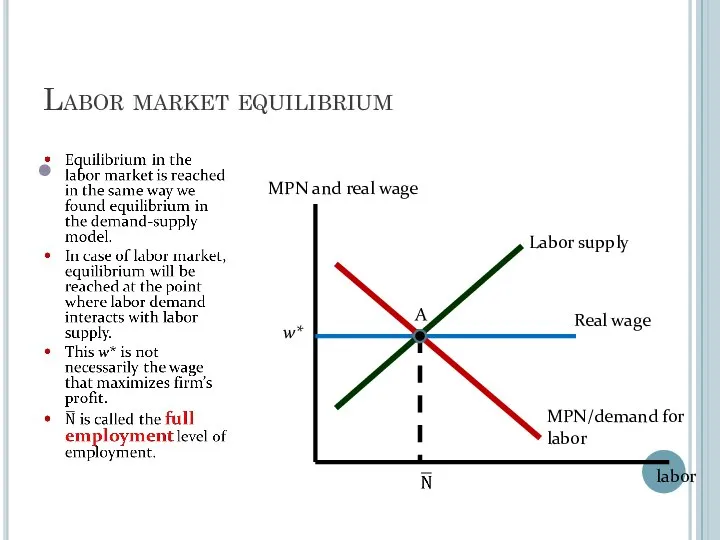 Labor market equilibrium w* MPN and real wage labor MPN/demand for