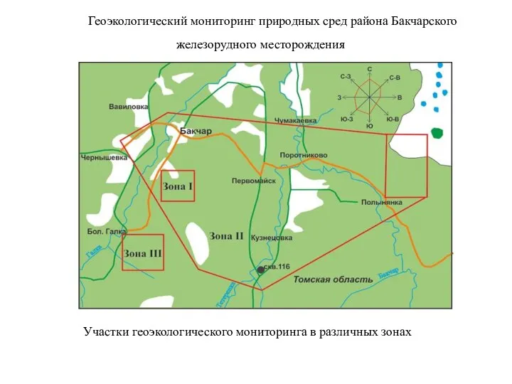 Геоэкологический мониторинг природных сред района Бакчарского железорудного месторождения Участки геоэкологического мониторинга в различных зонах