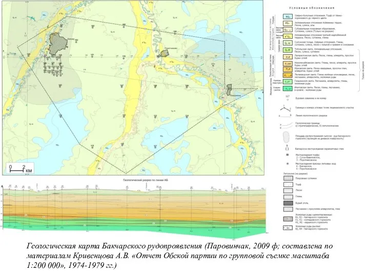 Геологическая карта Бакчарского рудопроявления (Паровинчак, 2009 ф; составлена по материалам Кривенцова