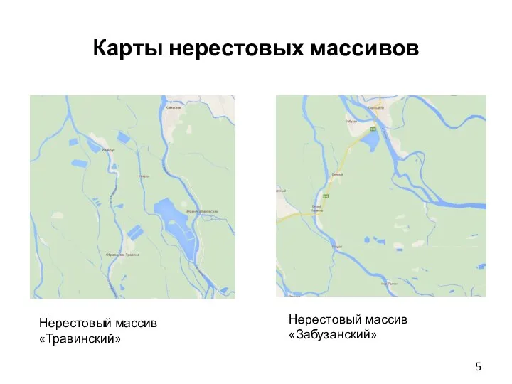 Карты нерестовых массивов Нерестовый массив «Забузанский» Нерестовый массив«Травинский»