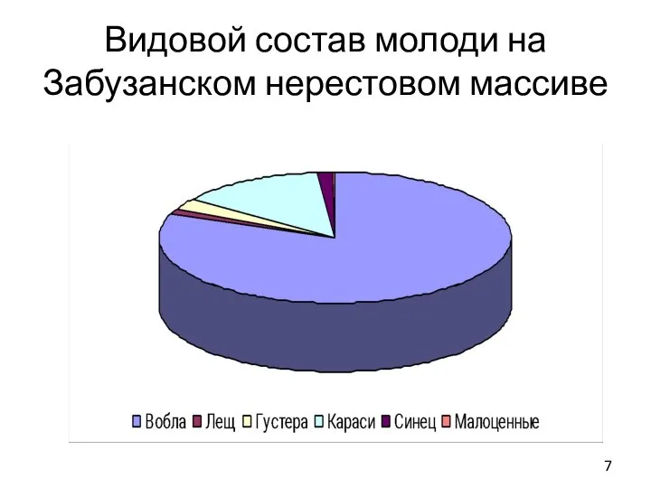 Видовой состав молоди на Забузанском нерестовом массиве