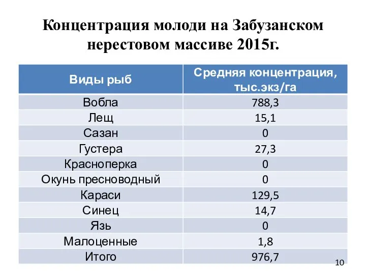 Концентрация молоди на Забузанском нерестовом массиве 2015г.