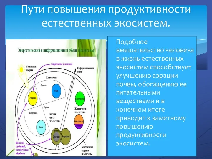 Пути повышения продуктивности естественных экосистем. Подобное вмешательство человека в жизнь естественных