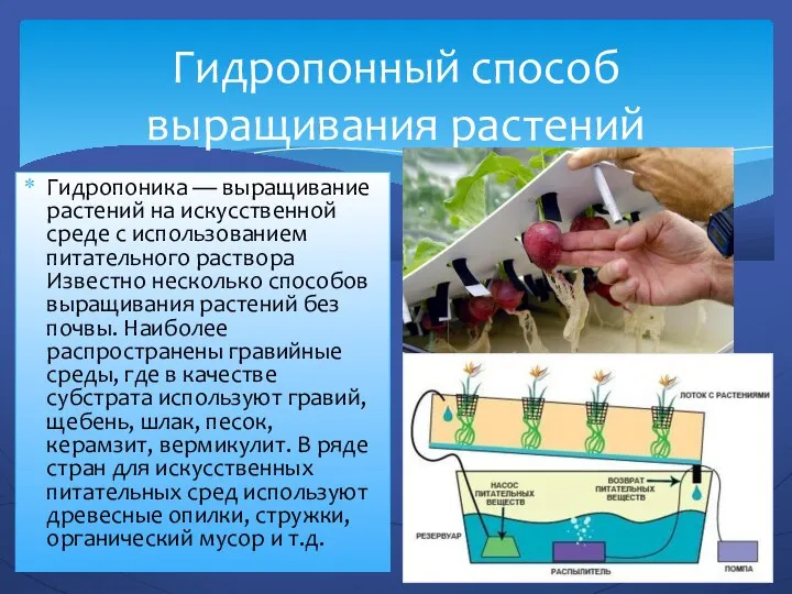 Гидропонный способ выращивания растений Гидропоника — выращивание растений на искусственной среде