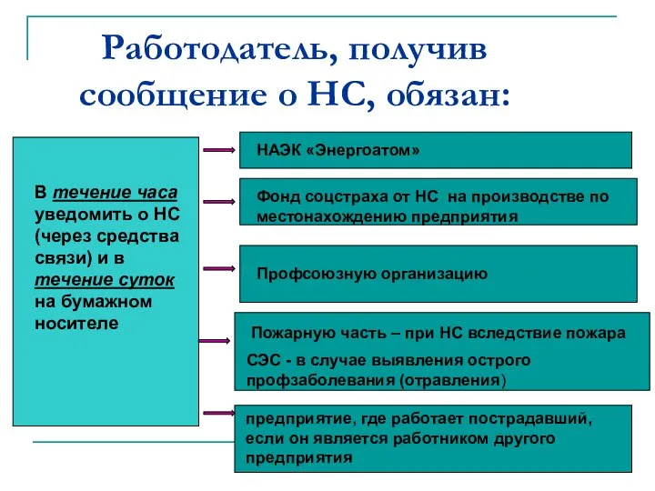 Работодатель, получив сообщение о НС, обязан: