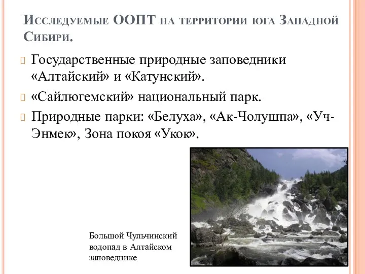 Исследуемые ООПТ на территории юга Западной Сибири. Государственные природные заповедники «Алтайский»