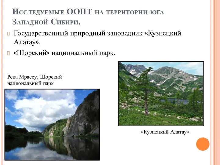 Исследуемые ООПТ на территории юга Западной Сибири. Государственный природный заповедник «Кузнецкий