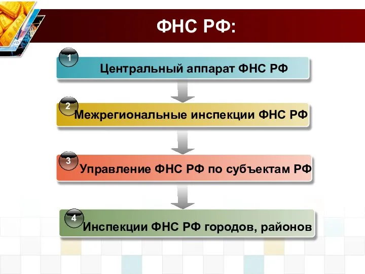 ФНС РФ: Центральный аппарат ФНС РФ Управление ФНС РФ по субъектам