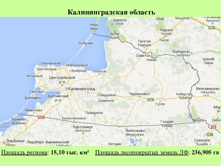 Калининградская область Площадь региона: 15,10 тыс. км² Площадь лесопокрытых земель ЛФ: 236,905 га