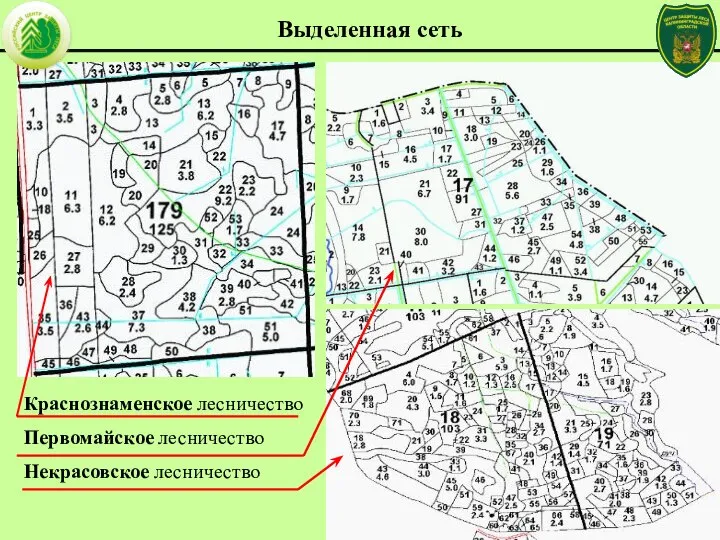 Краснознаменское лесничество Первомайское лесничество Некрасовское лесничество Выделенная сеть