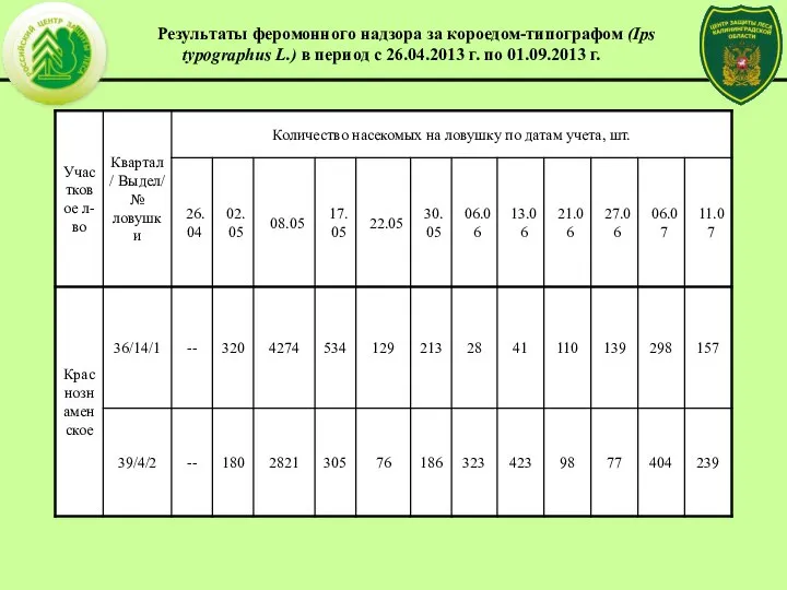 Результаты феромонного надзора за короедом-типографом (Ips typographus L.) в период с 26.04.2013 г. по 01.09.2013 г.