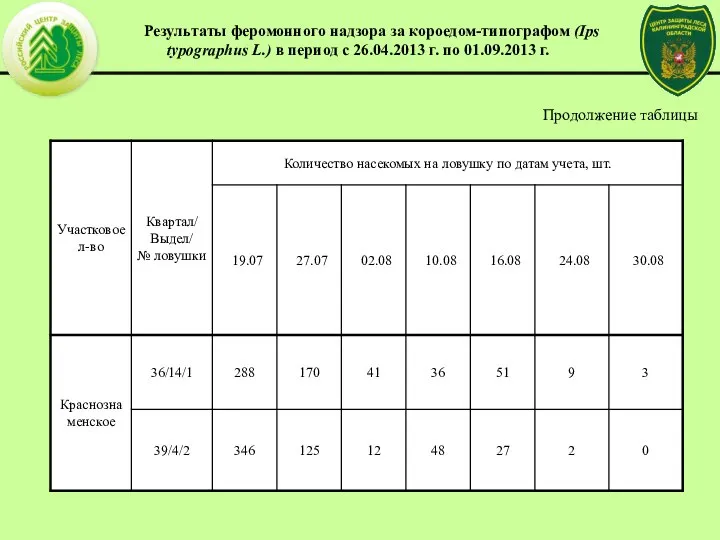 Продолжение таблицы Результаты феромонного надзора за короедом-типографом (Ips typographus L.) в