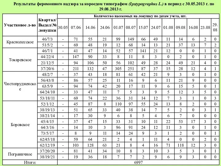 Результаты феромонного надзора за короедом типографом (Ipstypographus L.) в период с 30.05.2013 г. по 29.08.2013 г.