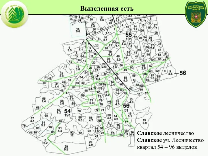 Славское лесничество Славское уч. Лесничество квартал 54 – 96 выделов Выделенная сеть