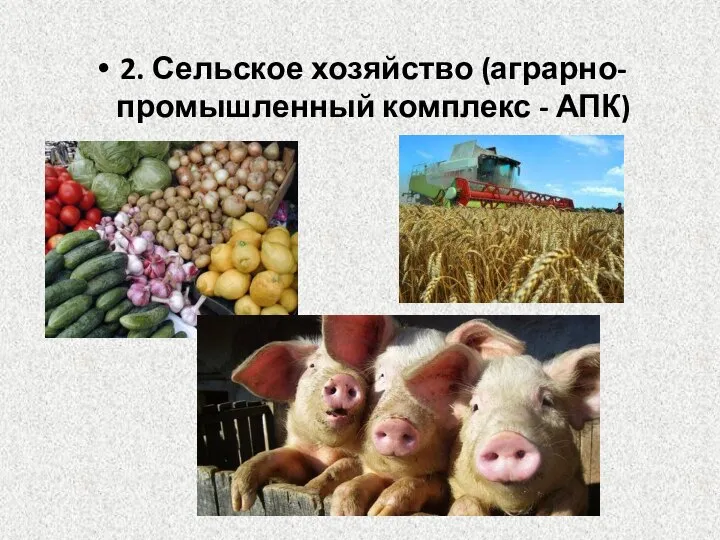 2. Сельское хозяйство (аграрно-промышленный комплекс - АПК)