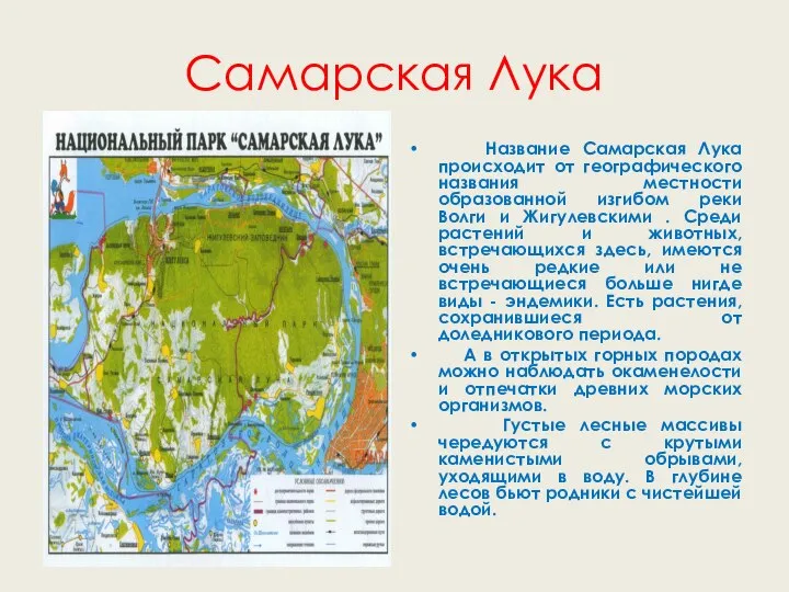 Самарская Лука Название Самарская Лука происходит от географического названия местности образованной