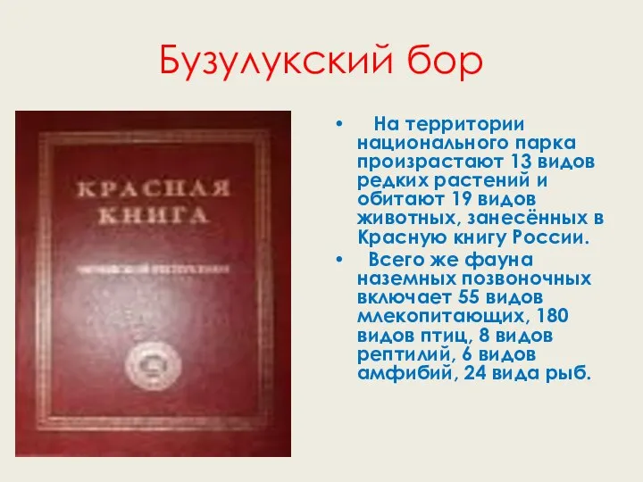 Бузулукский бор На территории национального парка произрастают 13 видов редких растений