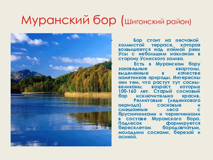 Муранский бор (Шигонский район) Бор стоит на песчаной холмистой террасе, которая