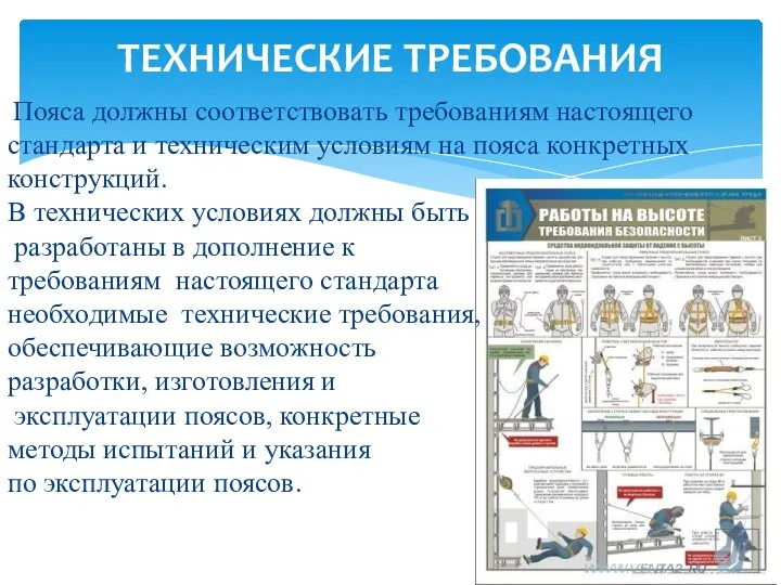 Пояса должны соответствовать требованиям настоящего стандарта и техническим условиям на пояса