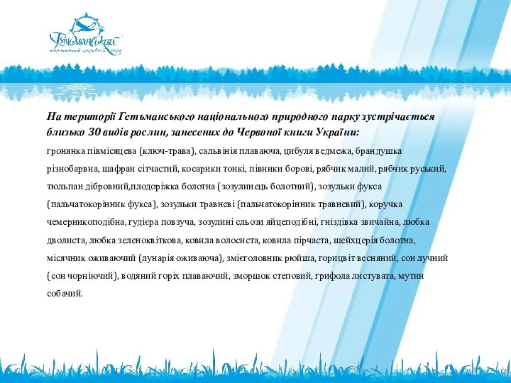 На території Гетьманського національного природного парку зустрічається близько 30 видів рослин,