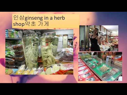 인삼ginseng in a herb shop약초 가게