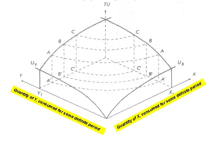 Quantity of Y, consumed for some definite period Quantity of X, consumed for some definite period