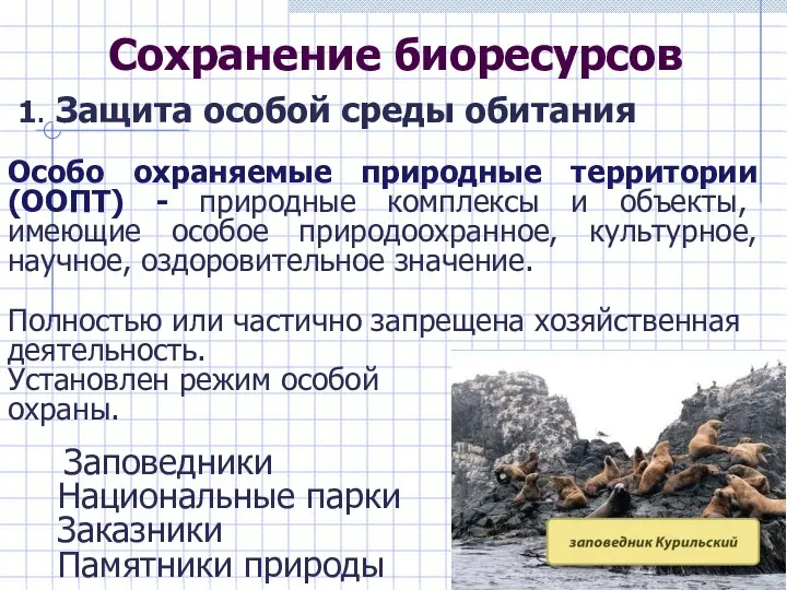 Сохранение биоресурсов 1. Защита особой среды обитания Особо охраняемые природные территории