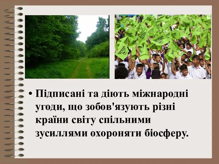 Підписані та діють міжнародні угоди, що зобов'язують різні країни світу спільними зусиллями охороняти біосферу.