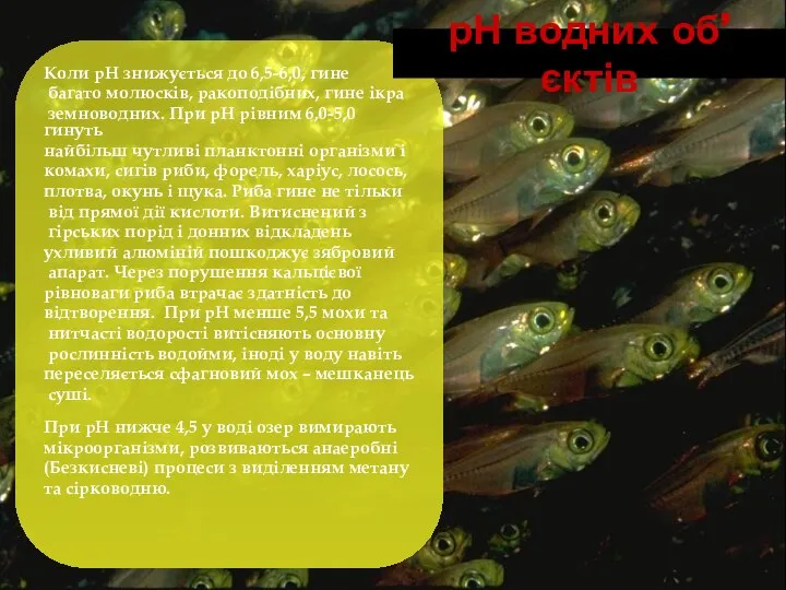 Коли рН знижується до 6,5-6,0, гине багато молюсків, ракоподібних, гине ікра