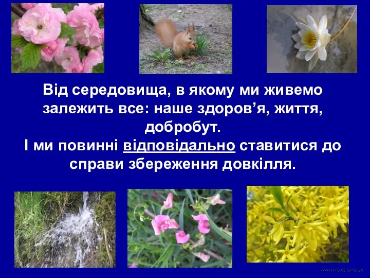 Від середовища, в якому ми живемо залежить все: наше здоров’я, життя,