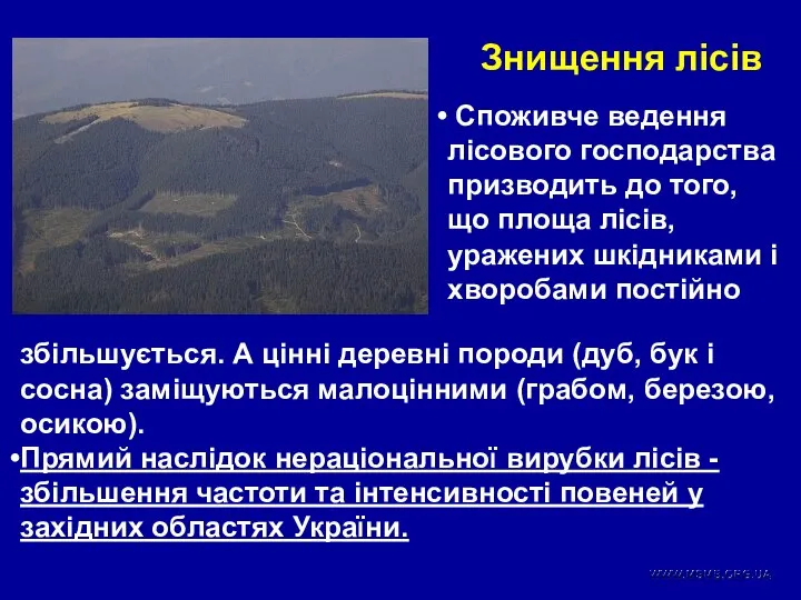 Знищення лісів Споживче ведення лісового господарства призводить до того, що площа