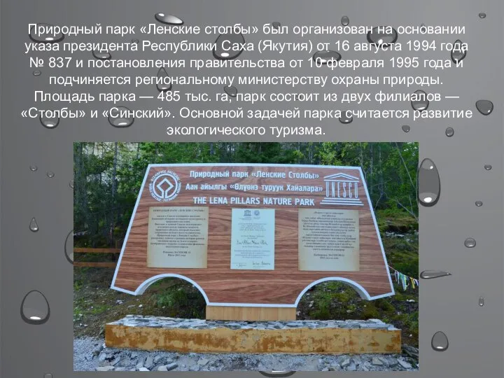 Природный парк «Ленские столбы» был организован на основании указа президента Республики