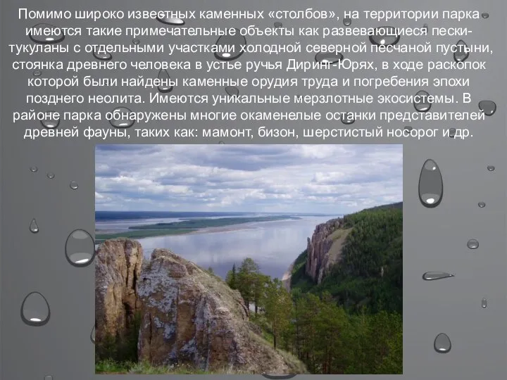 Помимо широко известных каменных «столбов», на территории парка имеются такие примечательные