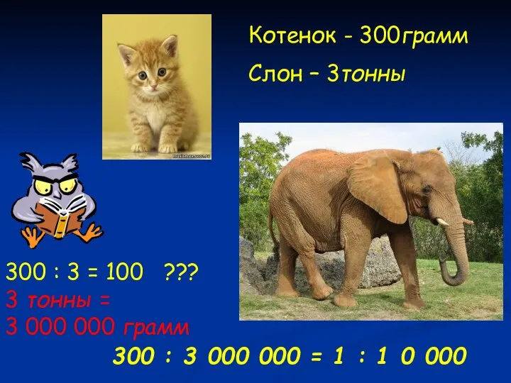 Котенок - 300грамм Слон – 3тонны 300 : 3 = 100