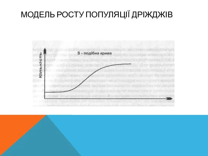 МОДЕЛЬ РОСТУ ПОПУЛЯЦІЇ ДРІЖДЖІВ