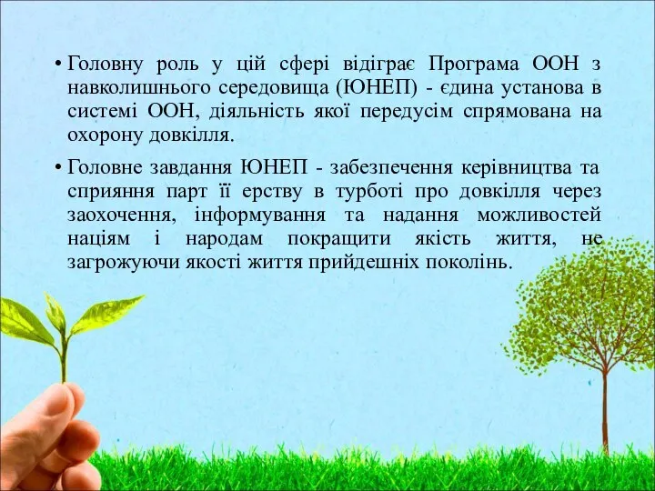 Головну роль у цій сфері відіграє Програма ООН з навколишнього середовища