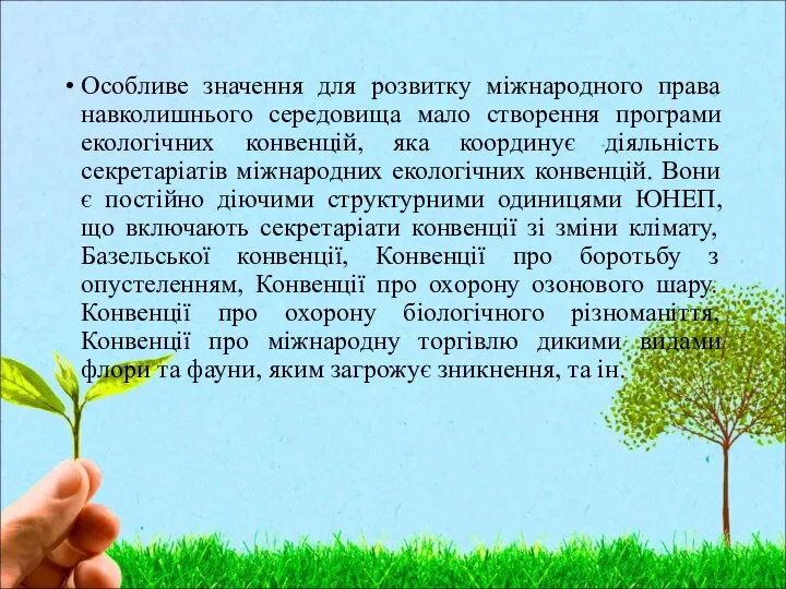 Особливе значення для розвитку міжнародного права навколишнього середовища мало створення програми