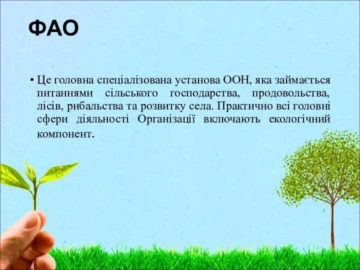 ФАО Це головна спеціалізована установа ООН, яка займається питаннями сільського господарства,