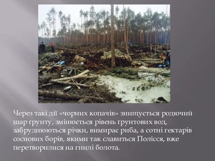 Через такі дії «чорних копачів» знищується родючий шар ґрунту, змінюється рівень