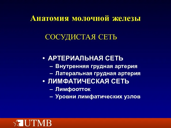 Анатомия молочной железы АРТЕРИАЛЬНАЯ СЕТЬ Внутренняя грудная артерия Латеральная грудная артерия