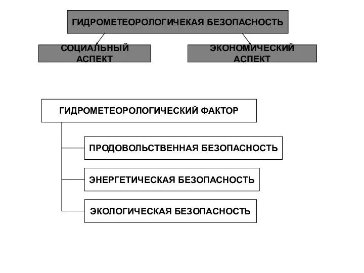 ГИДРОМЕТЕОРОЛОГИЧЕКАЯ БЕЗОПАСНОСТЬ СОЦИАЛЬНЫЙ АСПЕКТ ЭКОНОМИЧЕСКИЙ АСПЕКТ ГИДРОМЕТЕОРОЛОГИЧЕСКИЙ ФАКТОР ПРОДОВОЛЬСТВЕННАЯ БЕЗОПАСНОСТЬ ЭНЕРГЕТИЧЕСКАЯ БЕЗОПАСНОСТЬ ЭКОЛОГИЧЕСКАЯ БЕЗОПАСНОСТЬ