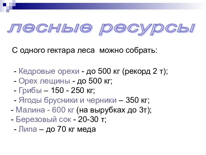 лесные ресурсы С одного гектара леса можно собрать: - Кедровые орехи