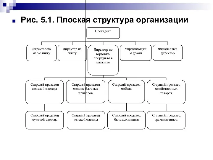 Рис. 5.1. Плоская структура организации