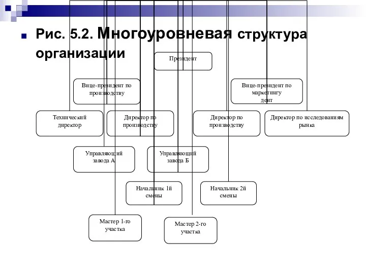 Рис. 5.2. Многоуровневая структура организации