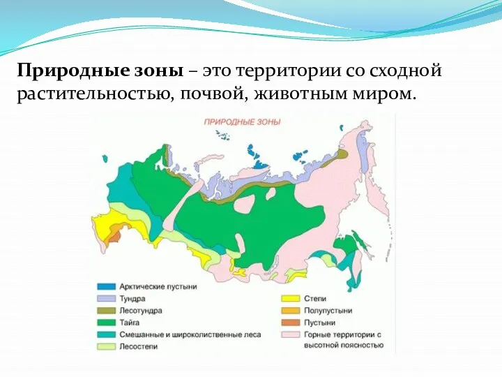 Природные зоны – это территории со сходной растительностью, почвой, животным миром.