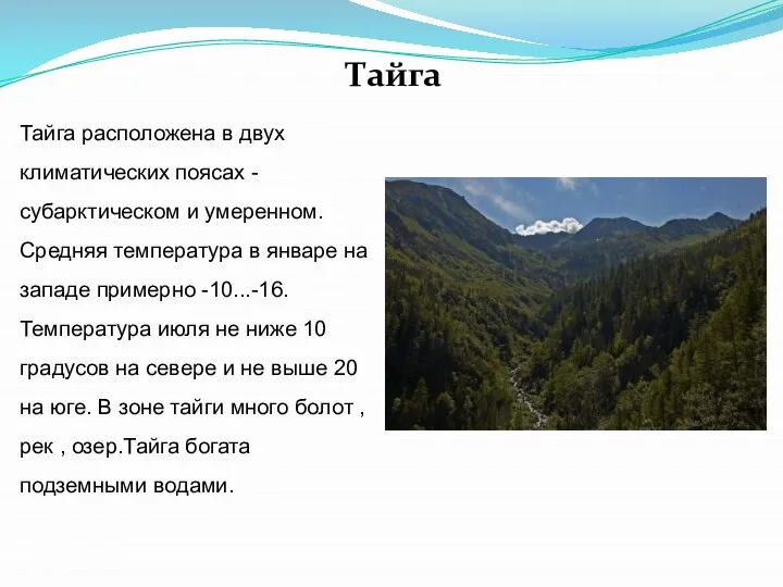 Тайга Тайга расположена в двух климатических поясах - субарктическом и умеренном.Средняя